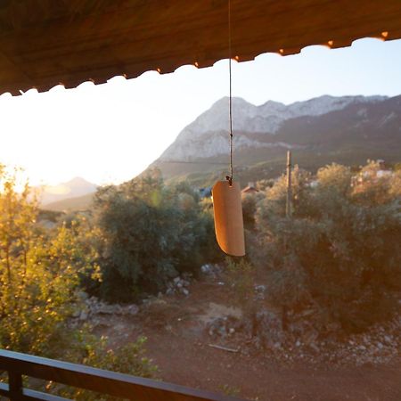 Vita Camping Otel Geyikbayiri 外观 照片