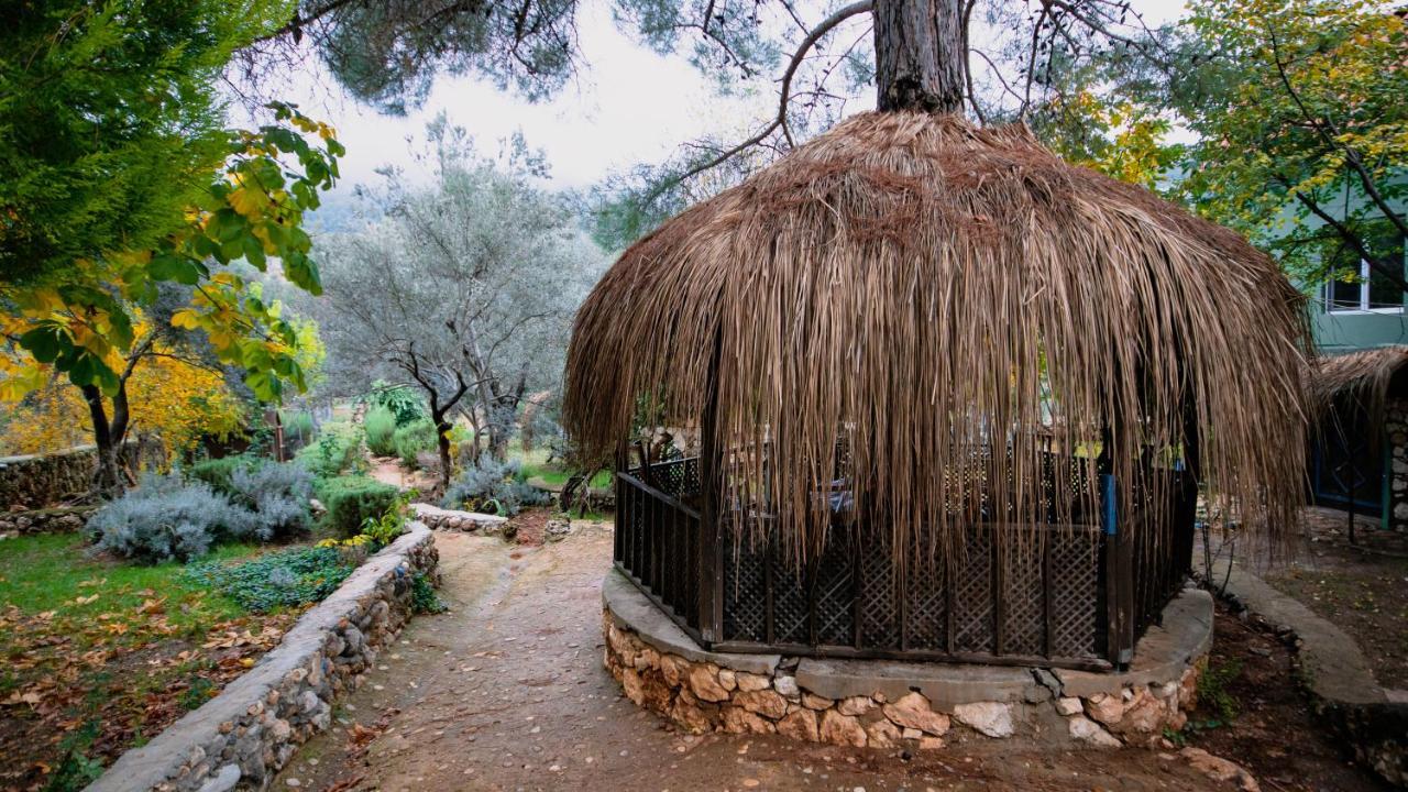 Vita Camping Otel Geyikbayiri 外观 照片