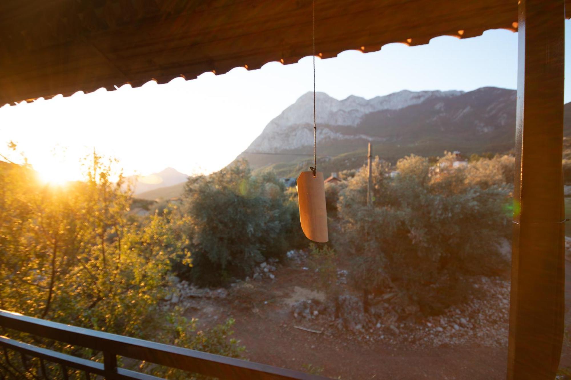 Vita Camping Otel Geyikbayiri 外观 照片
